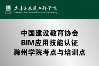 中国建设教育协会&BIM应用技...